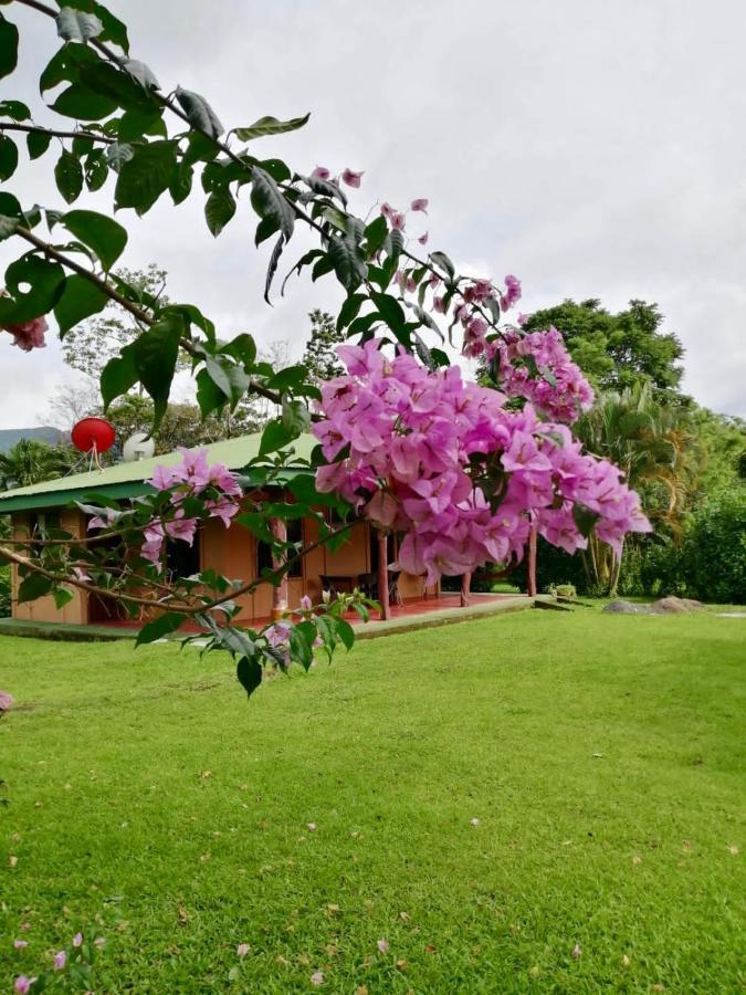 Casita El Jardin Βίλα Bijagua Εξωτερικό φωτογραφία