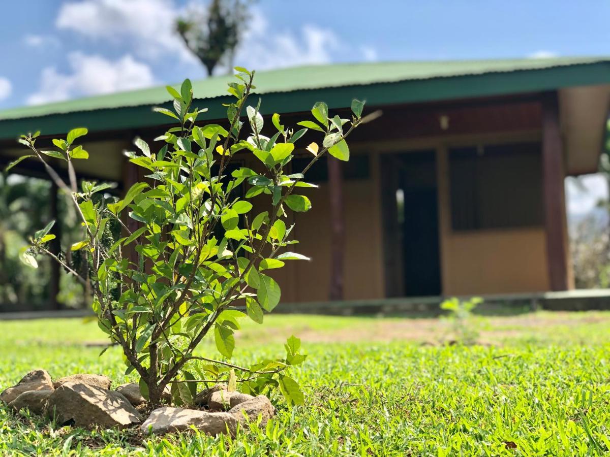 Casita El Jardin Βίλα Bijagua Εξωτερικό φωτογραφία
