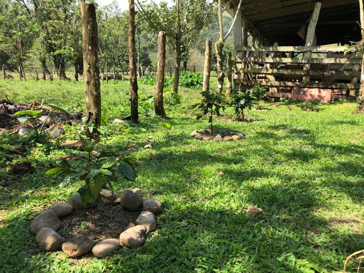 Casita El Jardin Βίλα Bijagua Εξωτερικό φωτογραφία