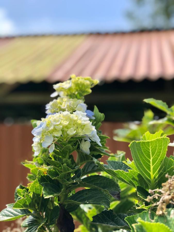 Casita El Jardin Βίλα Bijagua Εξωτερικό φωτογραφία